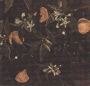Sandro Botticelli Details of Primavera (mk36) oil painting reproduction